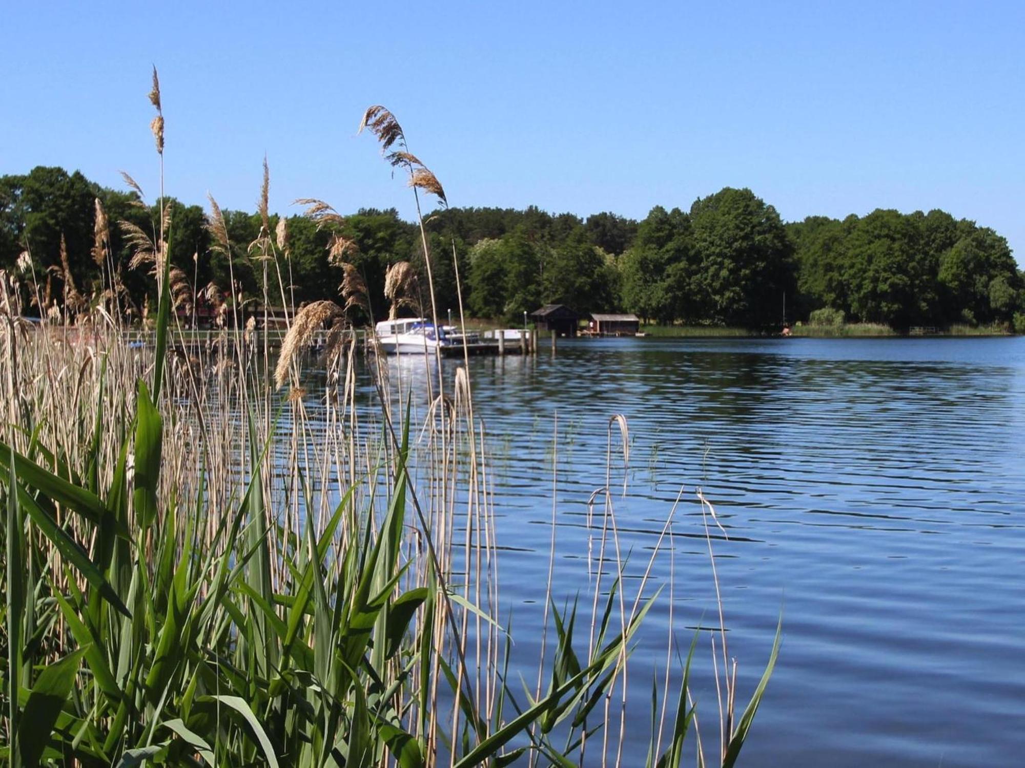 Diemitz Holiday House At The Vilzsee Mirow מראה חיצוני תמונה