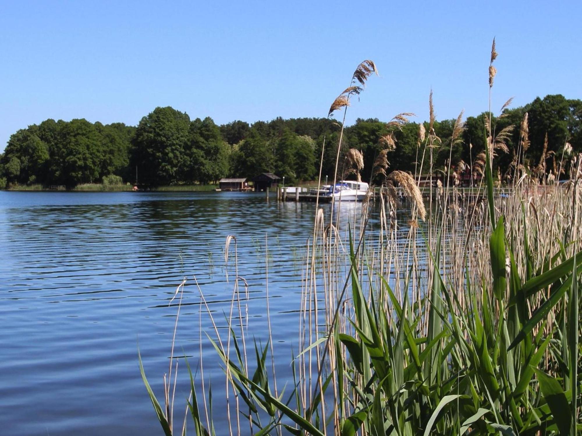 Diemitz Holiday House At The Vilzsee Mirow מראה חיצוני תמונה